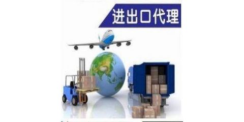 進(jìn)出口業(yè)務(wù)服務(wù) 連接全球市場的橋梁與引擎