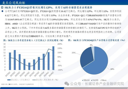 電子行業(yè)復(fù)蘇信號增強 臺積電FY24Q2業(yè)績強勁，中國智能手機市場持續(xù)回暖，增值業(yè)務(wù)成新焦點