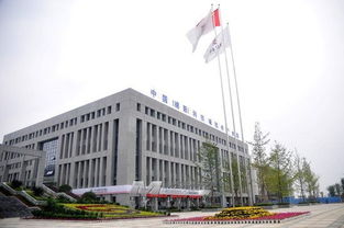 綿陽涪城區 統籌城鄉 全域發展